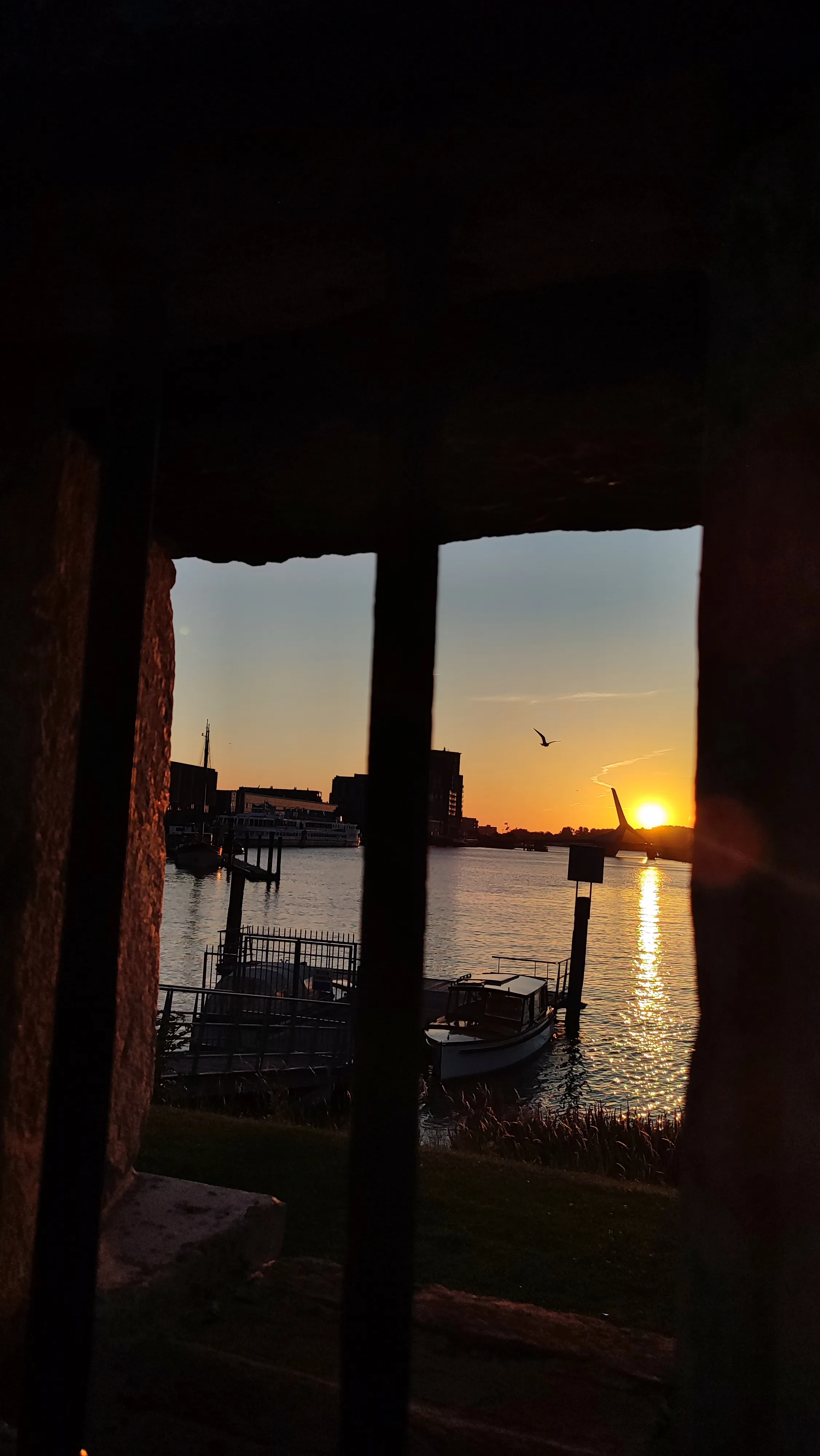 Lorem ipsum dolor sit amet